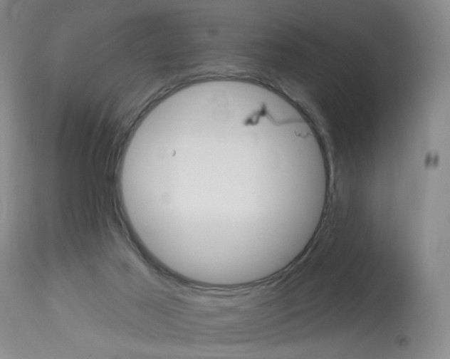 X0000114020021200910021027