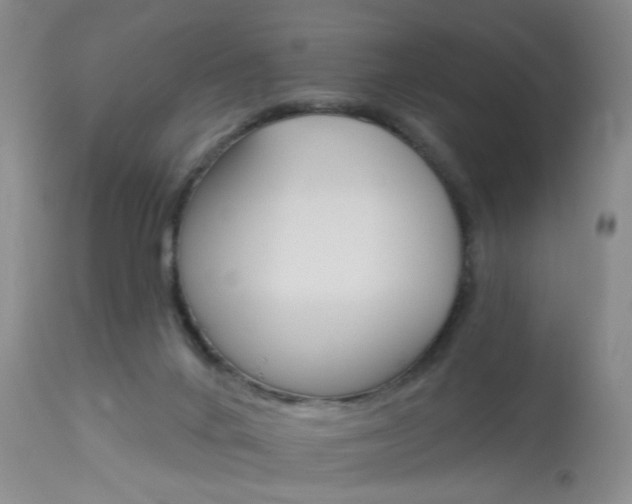 X0000114020024200910021027