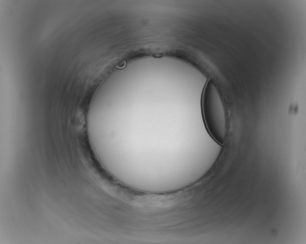 X0000114020025200910021027