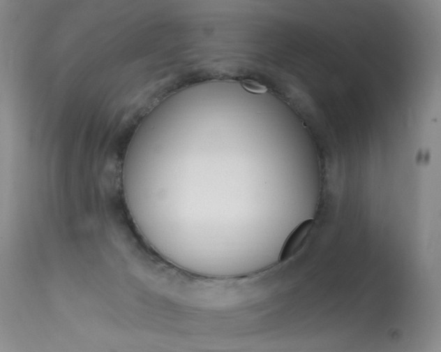 X0000114020029200910021027