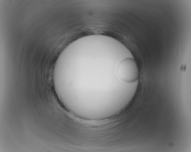 X0000114020030200910021027