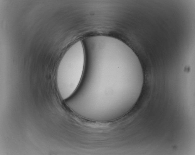 X0000114020032200910021027
