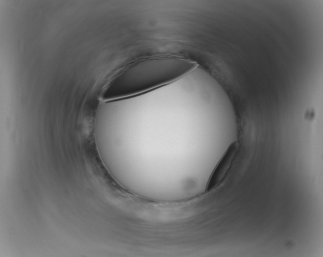 X0000114020033200910021027