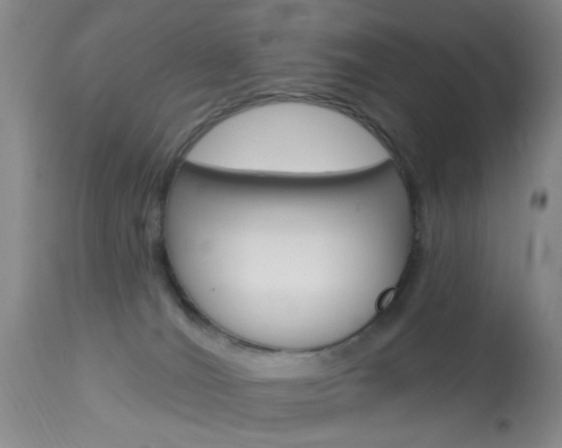 X0000114020036200910021027