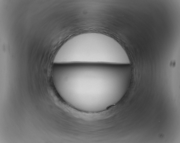 X0000114020039200910021027