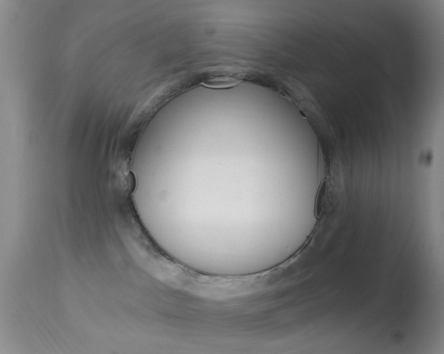 X0000114020045200910021027
