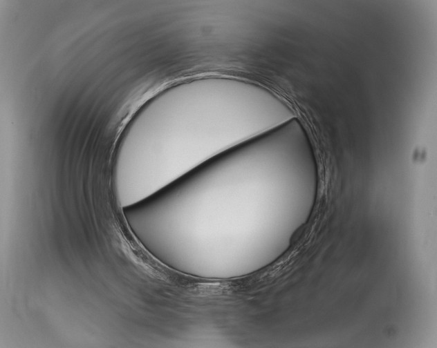 X0000114020050200910021026