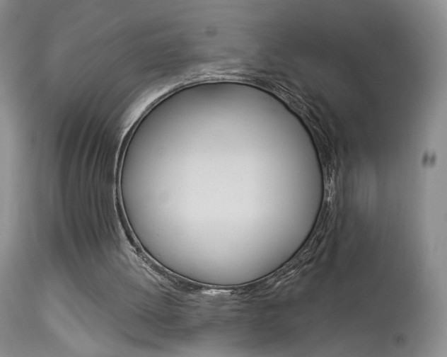 X0000114020052200910021026