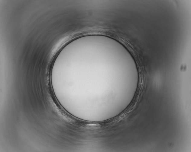 X0000114020053200910021026