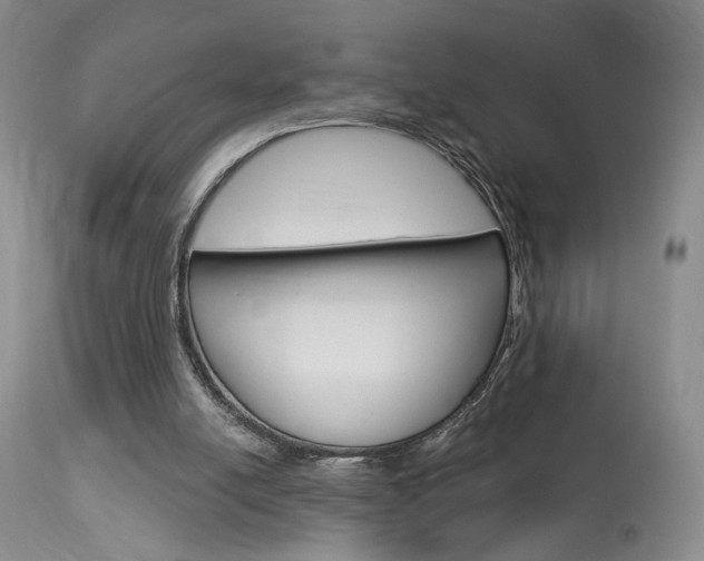 X0000114020054200910021026