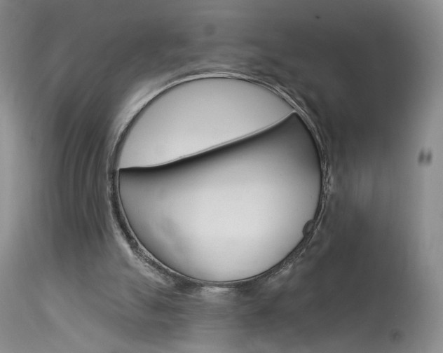 X0000114020055200910021026