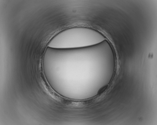 X0000114020057200910021026