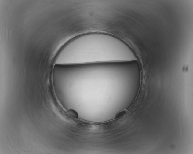 X0000114020060200910021026