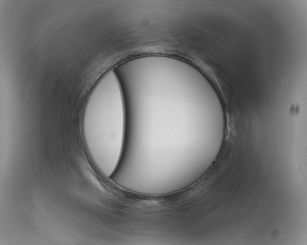 X0000114020061200910021026