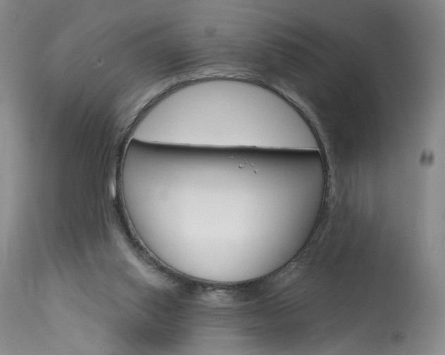 X0000114020062200910021026
