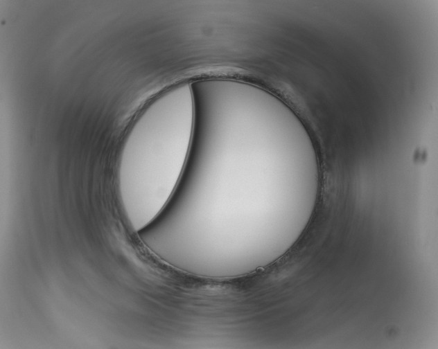 X0000114020063200910021026