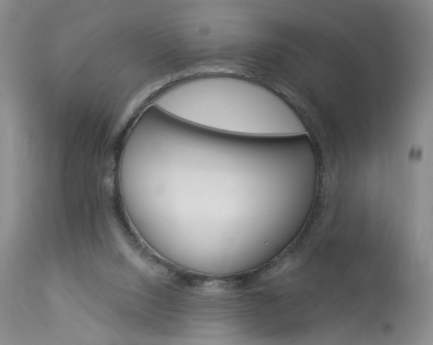 X0000114020064200910021026