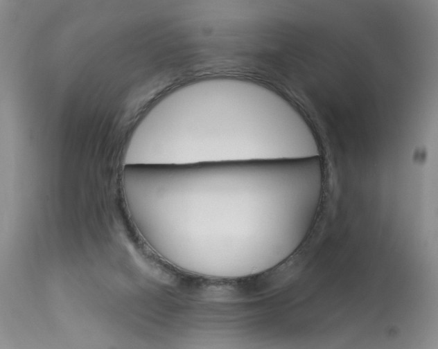 X0000114020066200910021026