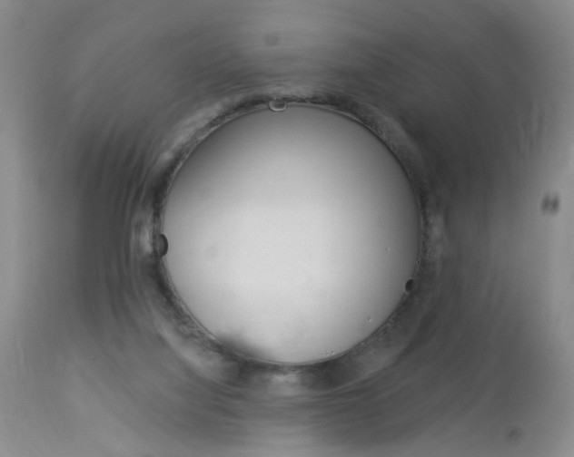 X0000114020068200910021026