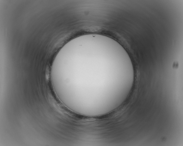 X0000114020069200910021026
