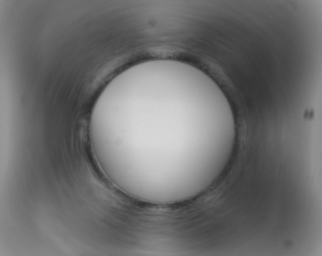 X0000114020071200910021026