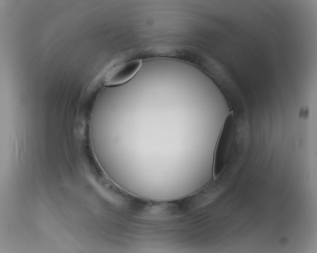 X0000114020072200910021027
