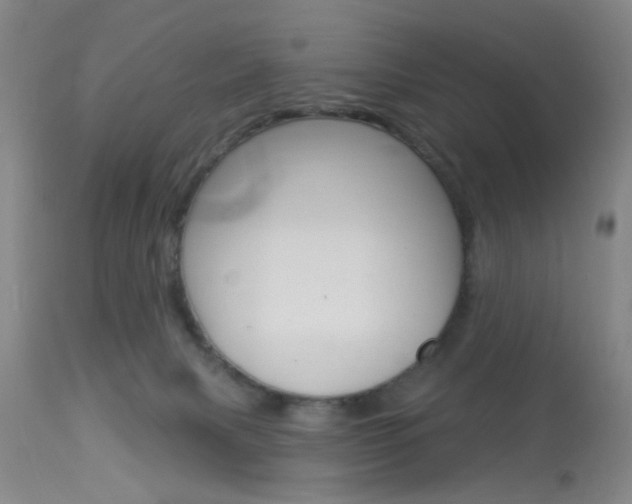 X0000114020079200910021027