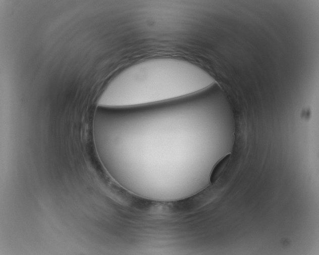 X0000114020080200910021027