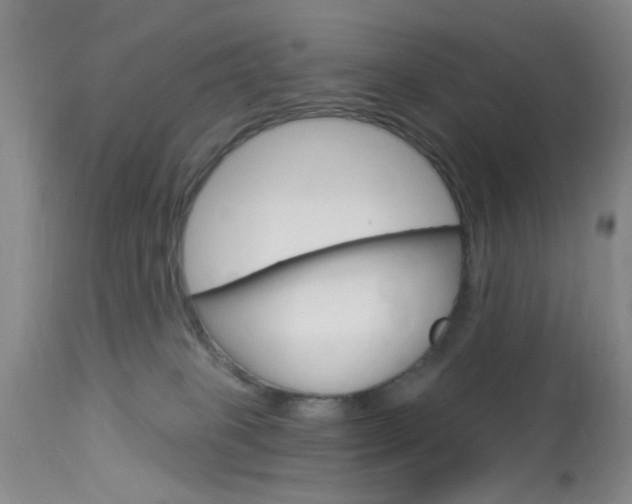 X0000114020085200910021027