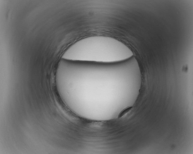 X0000114020086200910021027