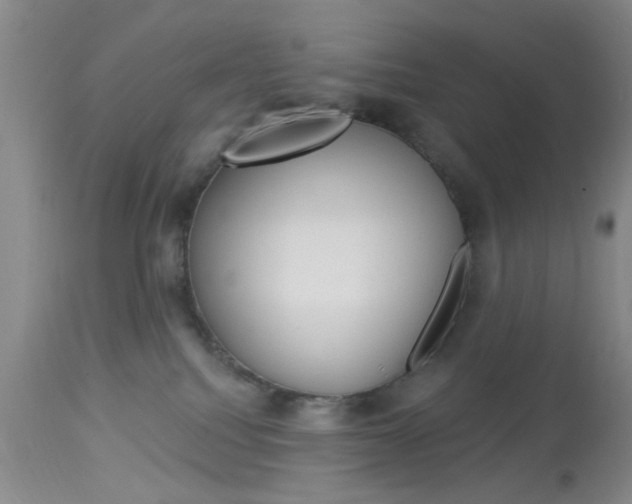 X0000114020088200910021027