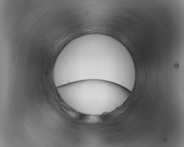X0000114020095200910021027
