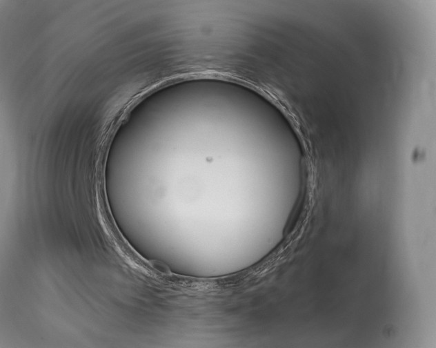 X0000114020097200910021026