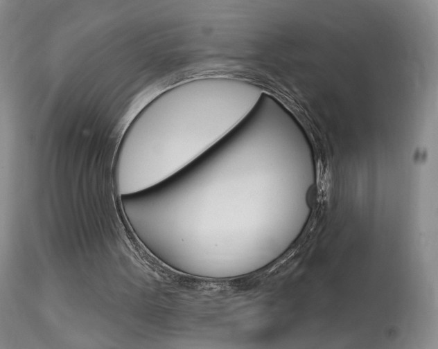 X0000114020099200910021026