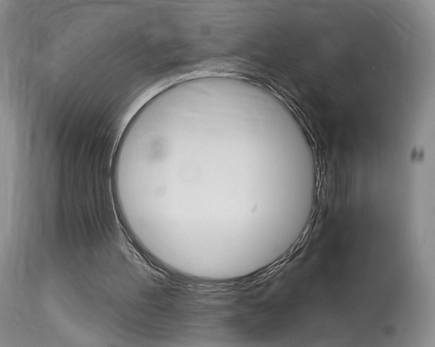 X0000114020100200910021026