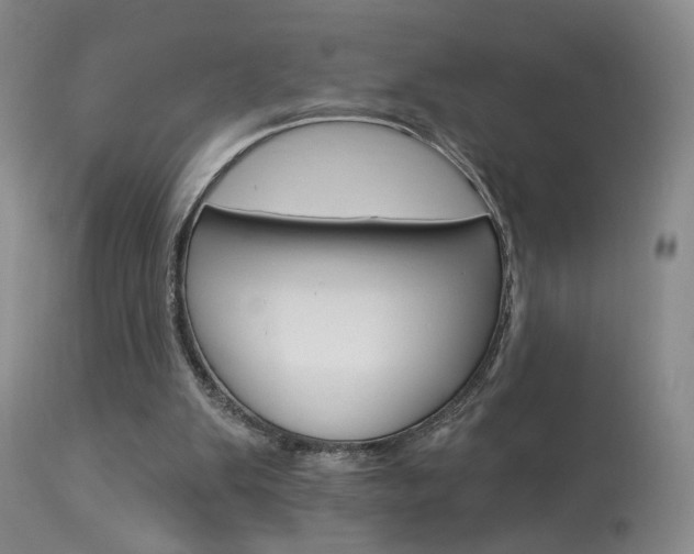 X0000114020103200910021026