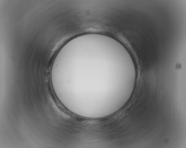 X0000114020106200910021026