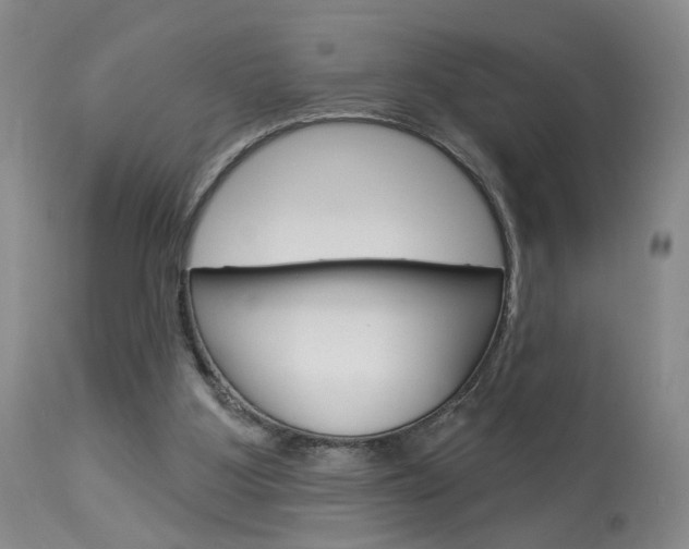 X0000114020107200910021026
