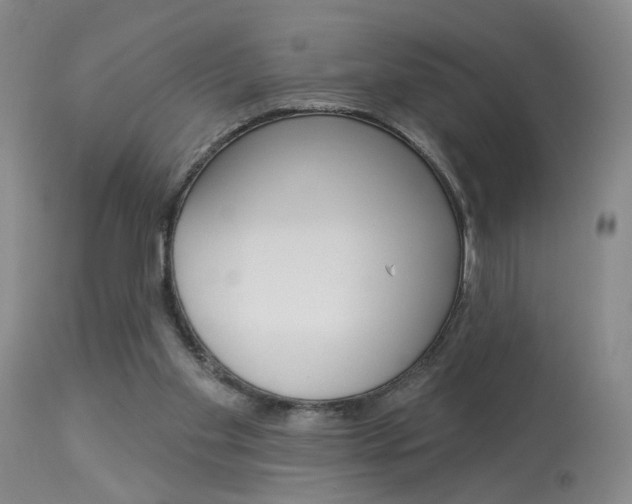 X0000114020109200910021026