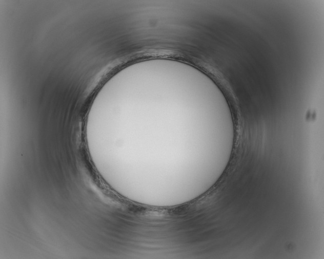 X0000114020110200910021026