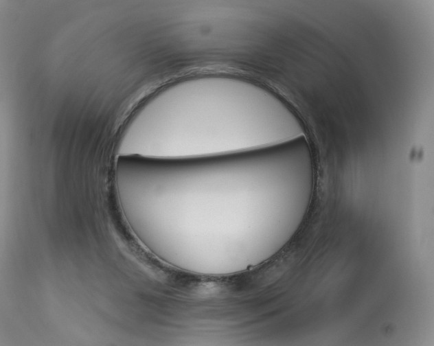X0000114020111200910021026