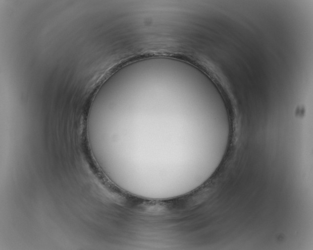 X0000114020113200910021026