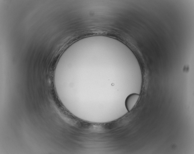 X0000114020114200910021026