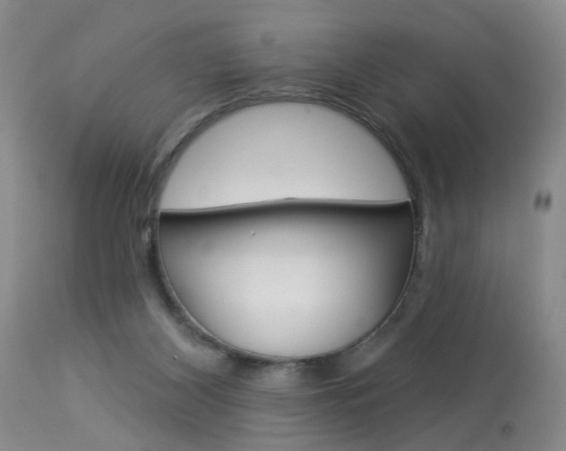 X0000114020116200910021026