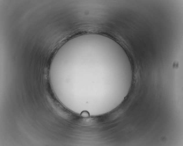 X0000114020117200910021026