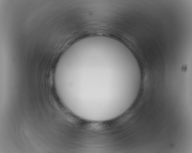 X0000114020121200910021026