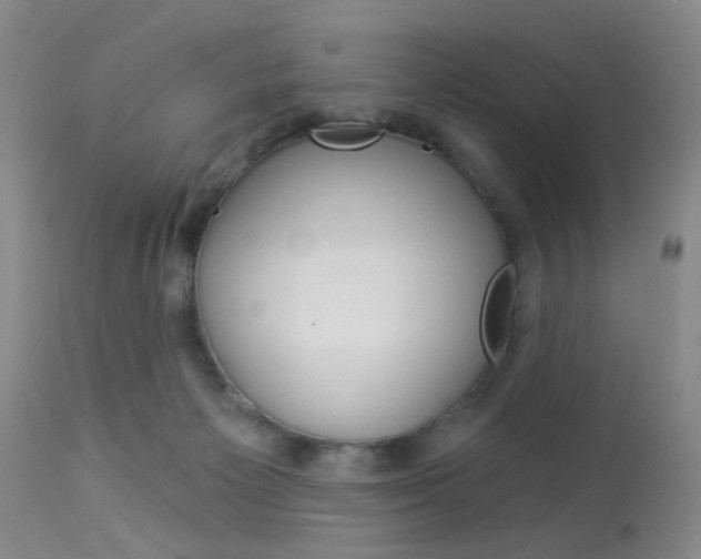 X0000114020125200910021025