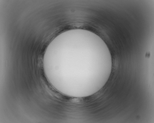 X0000114020126200910021025