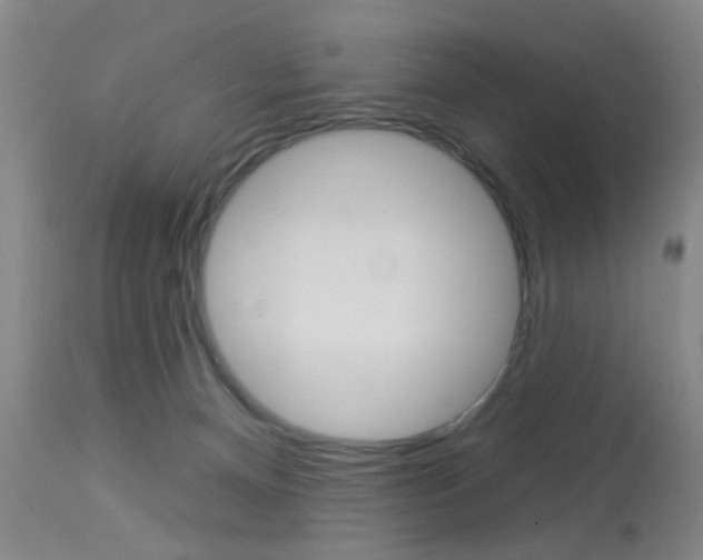 X0000114020128200910021025