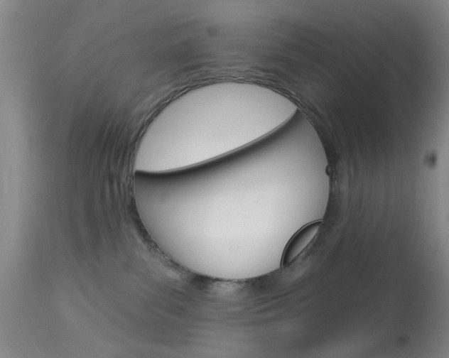 X0000114020139200910021025
